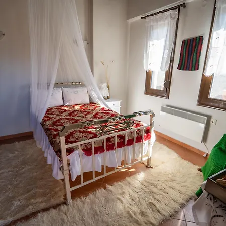 Margarita's House