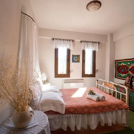 Margarita's House