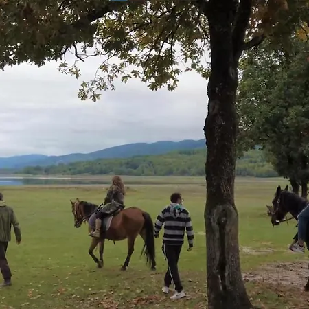 Margarita's House * Kalývia Fylaktís